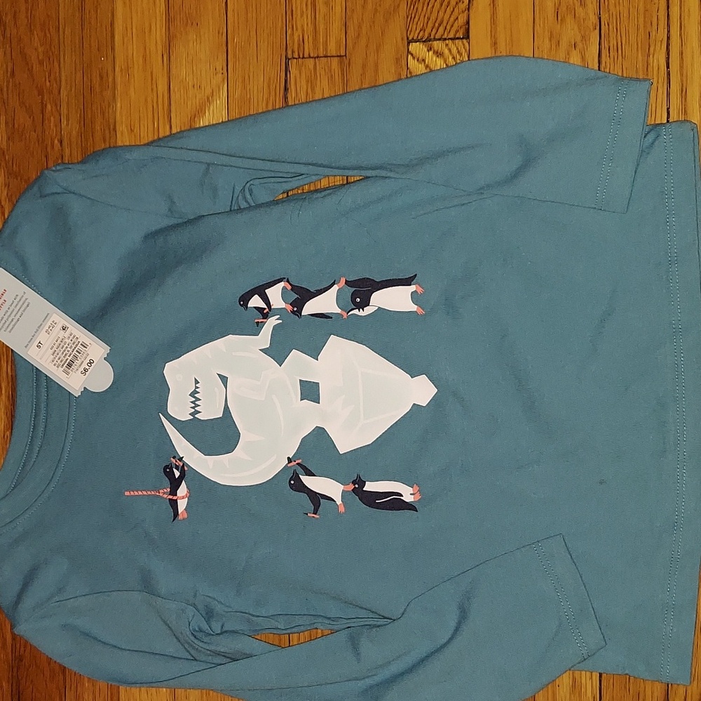 5t cat & jack long sleeve top